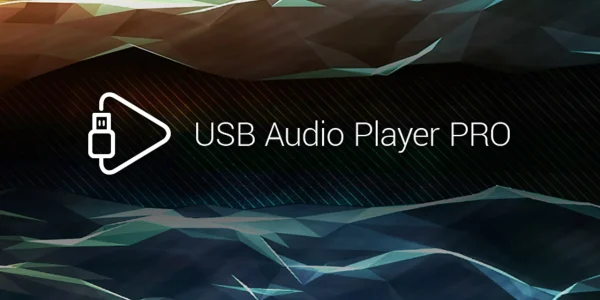 usb audio player pro full version