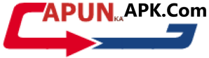 cropped apunkaapklogo 300x83